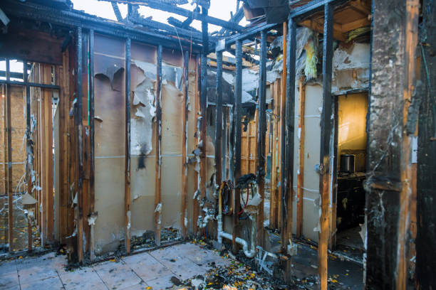 Professional Smoke Damage Removal technician working in Sandy Spring, MD